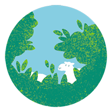 Illustration zwei Schafe schauen durchs Gebüsch